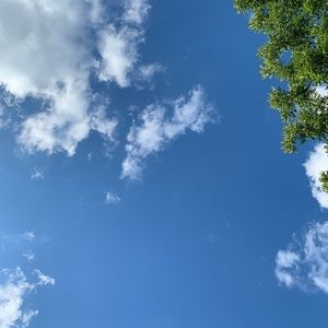 Meet your Posher, Scarlett